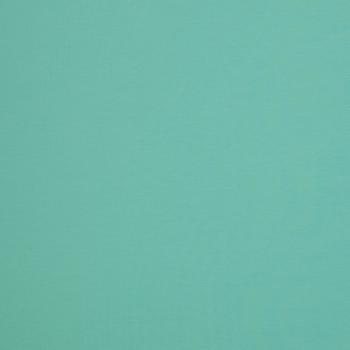 Preview: Swafing Vanessa *NEU Baumwoll Jersey Uni Mint 261